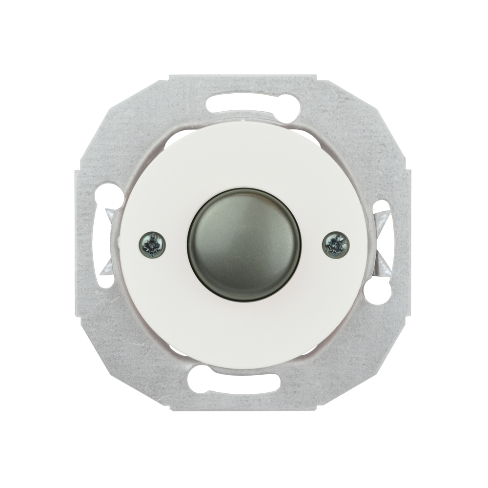 RENOVA DRUCKTASTER MIT ZENTRALPLATTE EDELSTAHLEFFEKT KNOPF WEISS