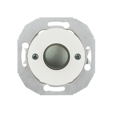 RENOVA DRUCKTASTER MIT ZENTRALPLATTE EDELSTAHLEFFEKT KNOPF WEISS